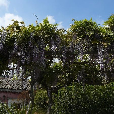 فياغراندي B&B Velardi المظهر الخارجي الصورة